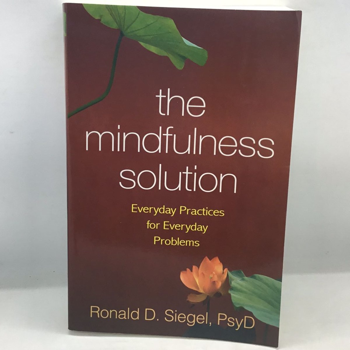 The mindfulness solution by ronald d siegel