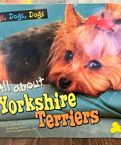 All about yorkshire terriers