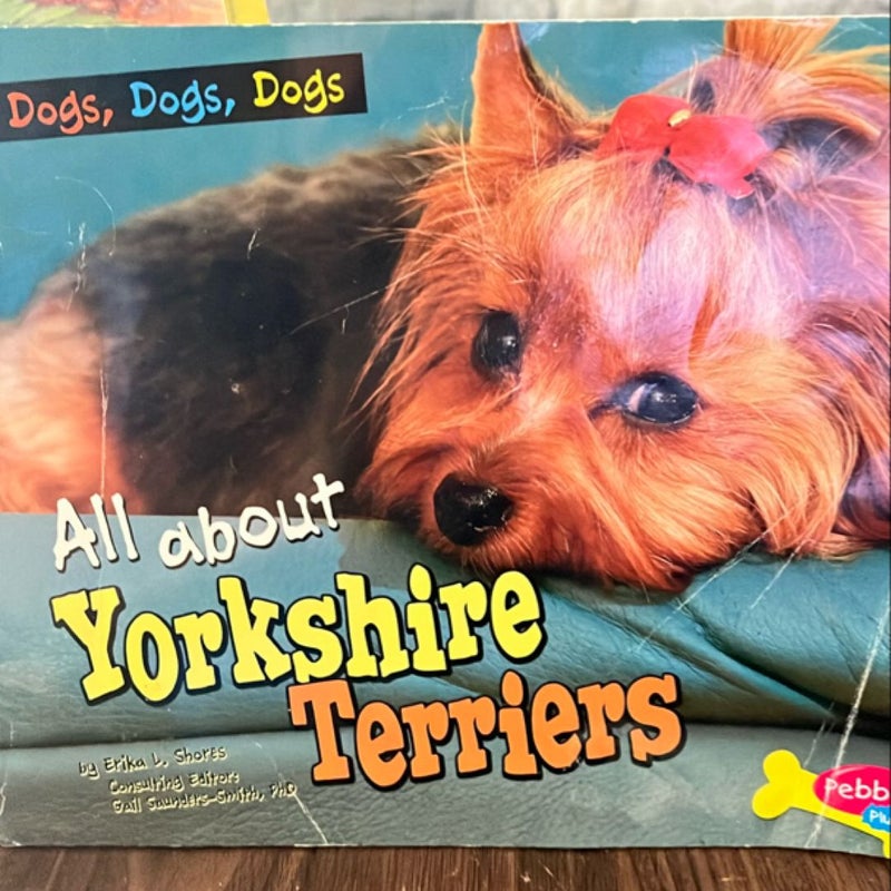 All about yorkshire terriers