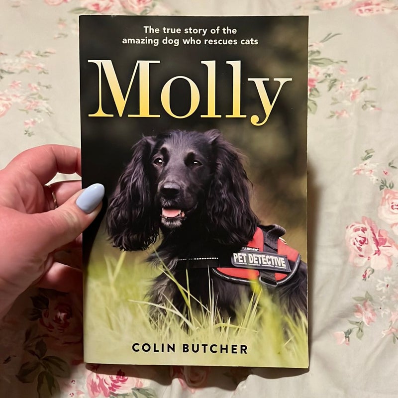 Molly: the True Story of the Amazing Dog Who Rescues Cats