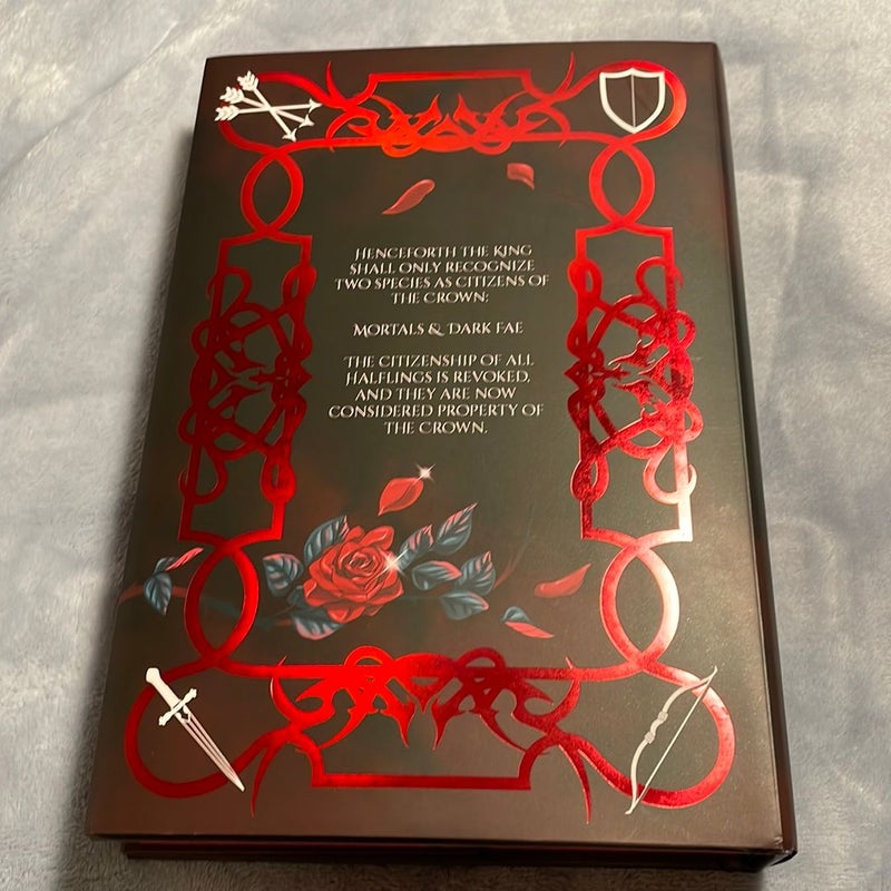 A Broken Blade Bookish Box edition 