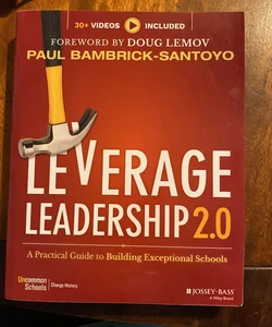 Leverage Leadership 2. 0