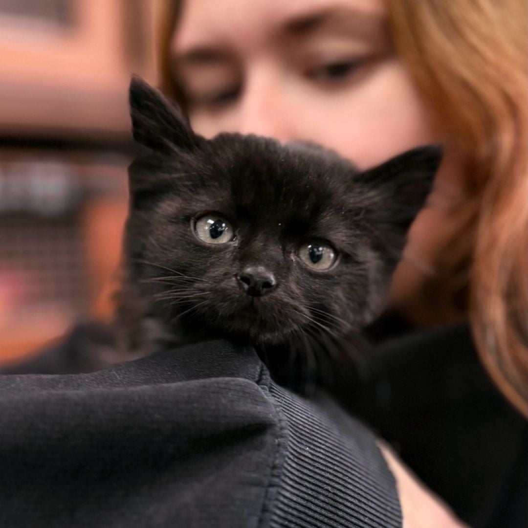 Sam