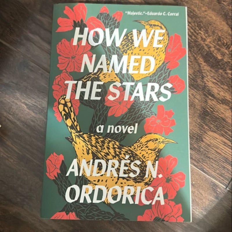 How We Named the Stars