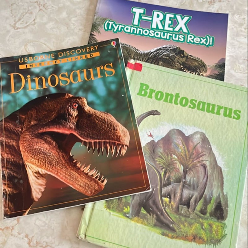 Bundle of 3 assorted dinosaur books