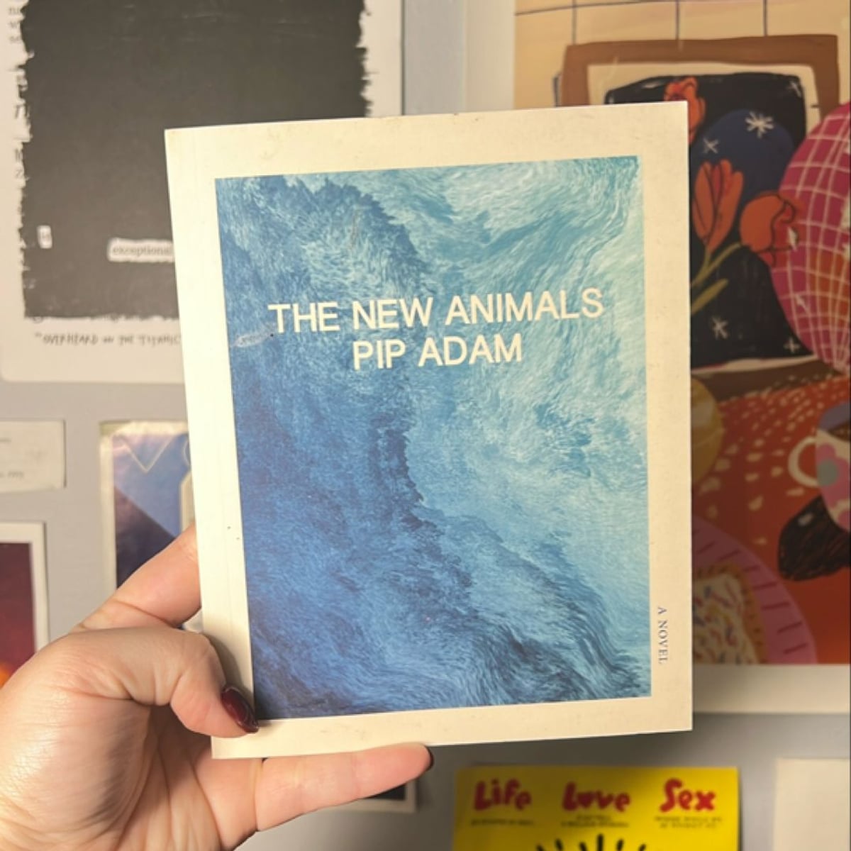 The New Animals by Pip Adam