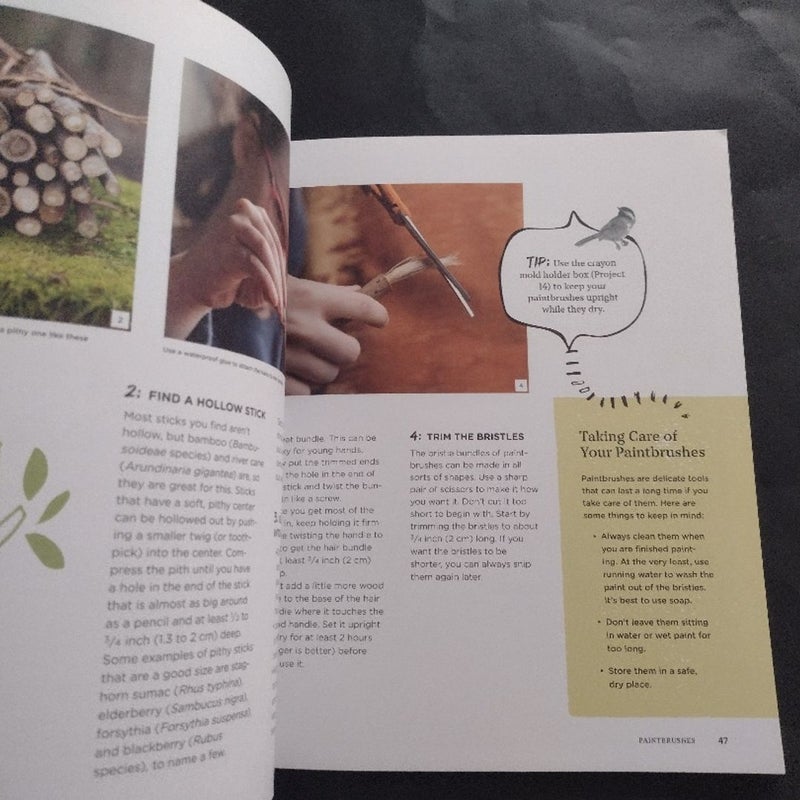 The Organic Artist for Kids