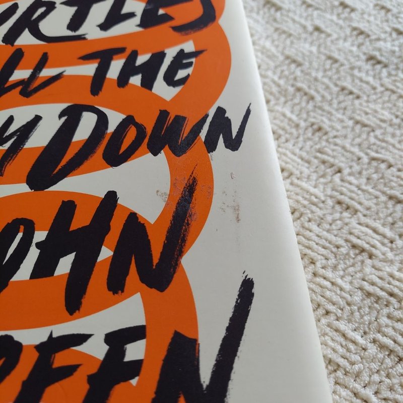 Turtles All the Way down (Signed Edition)