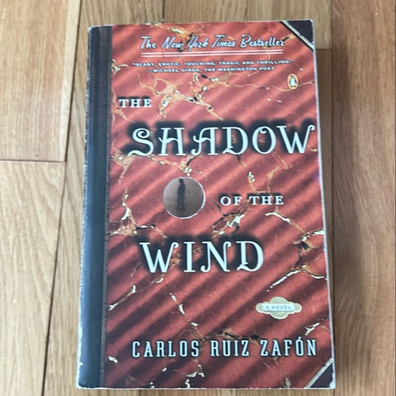 The Shadow of the Wind