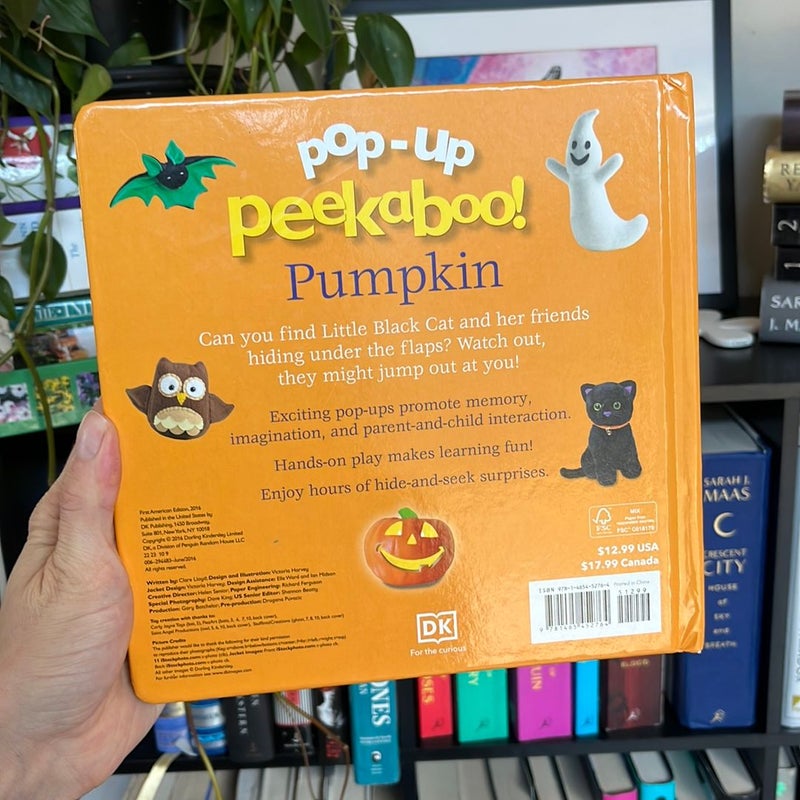 Pop-Up Peekaboo! Pumpkin