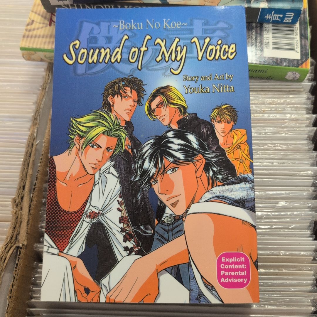 Sound of my voice 