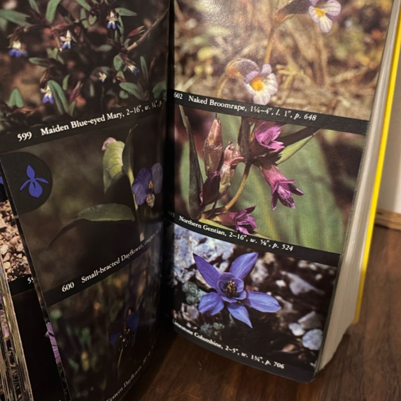 National Audubon Society Field Guide to Wildflowers