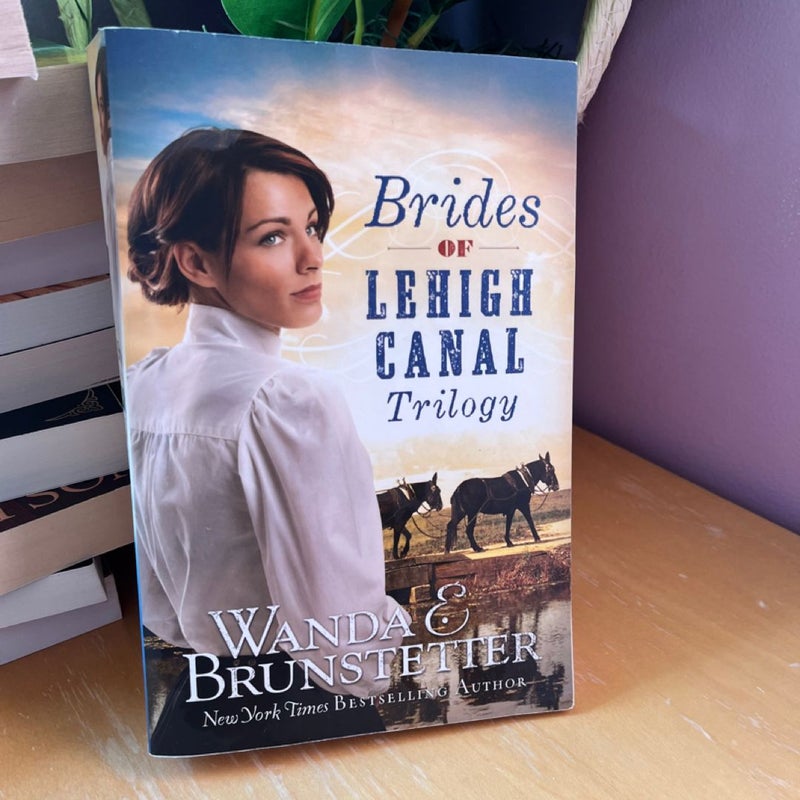 Brides of Lehigh Canal Trilogy