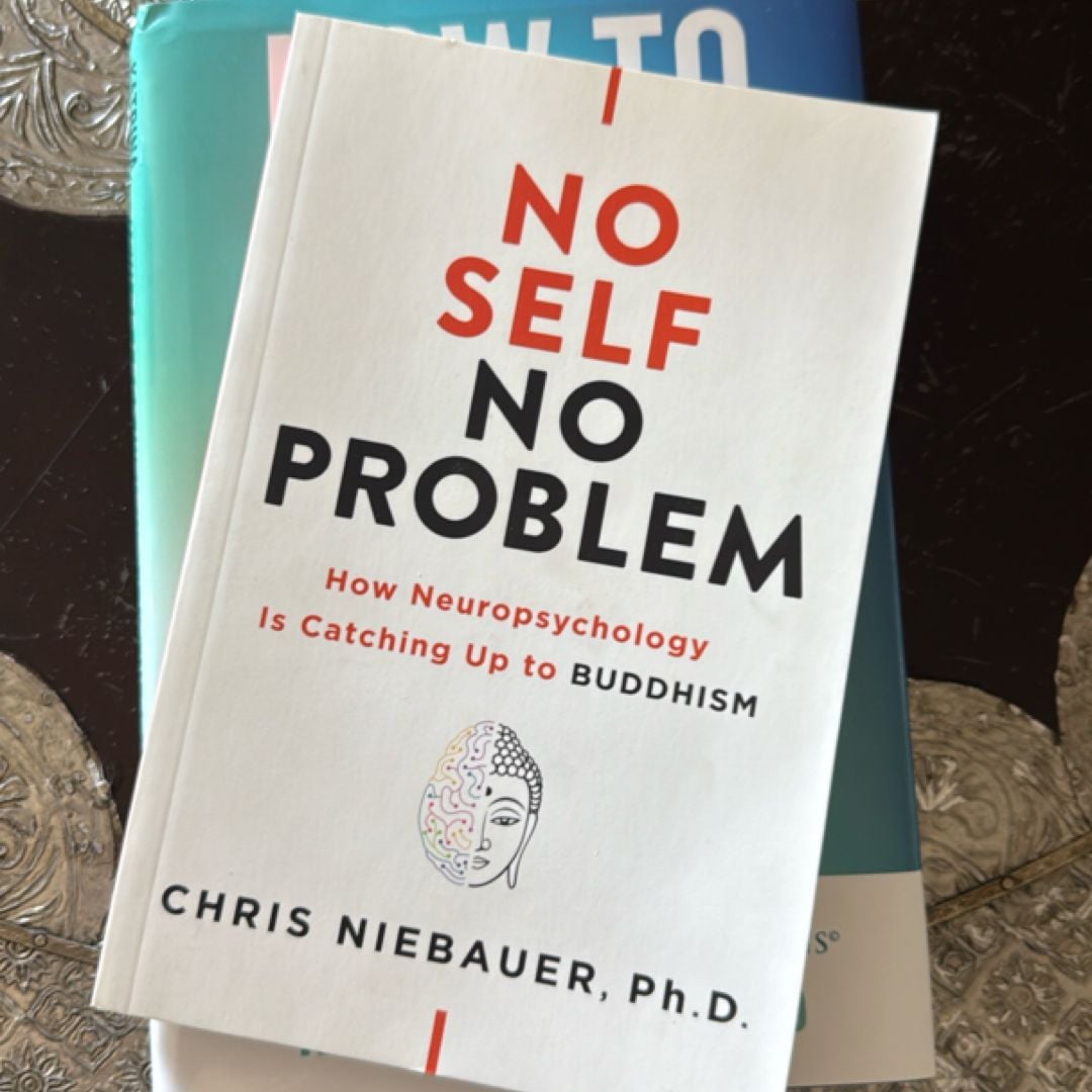No Self, No Problem by Chris Niebauer, Paperback | Pangobooks