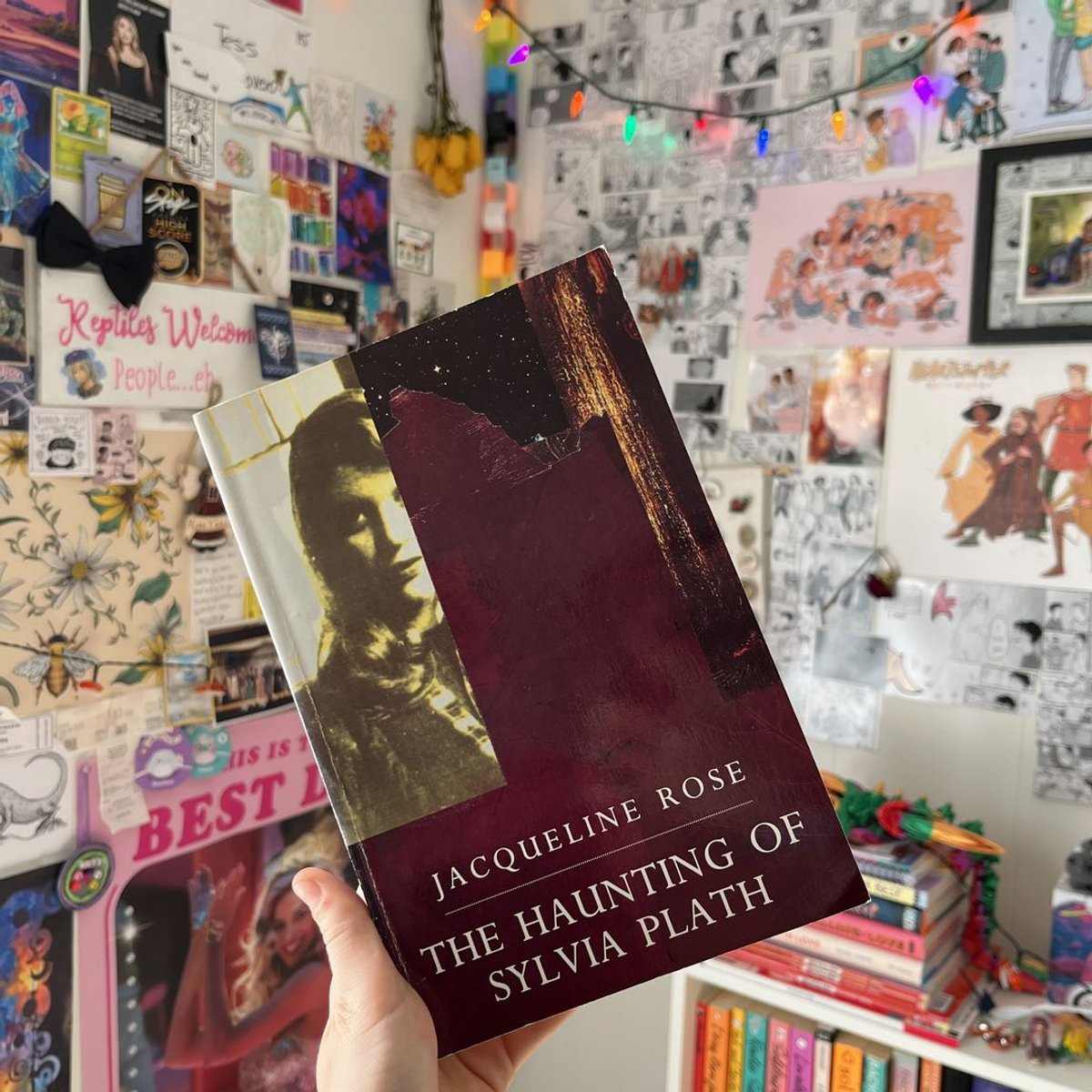 Sylvia (singer) intelligence overview