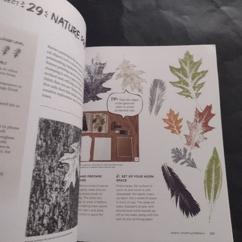 The Organic Artist for Kids