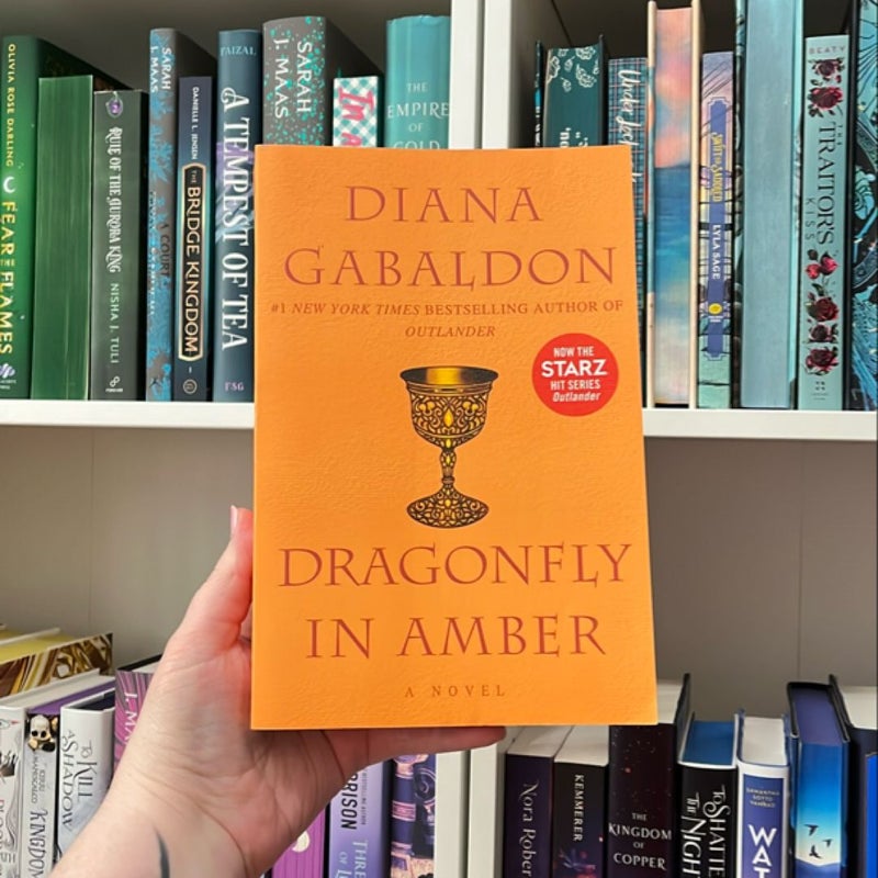 Dragonfly in Amber