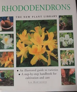 Rhododendrons