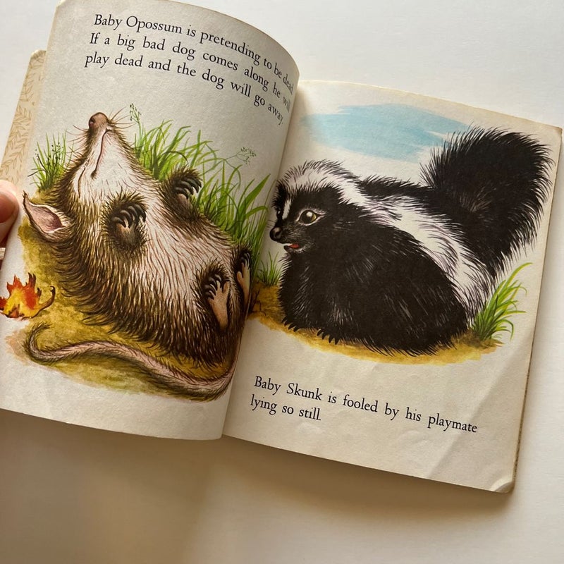 Vintage Little Golden Book: Baby Animals 1956