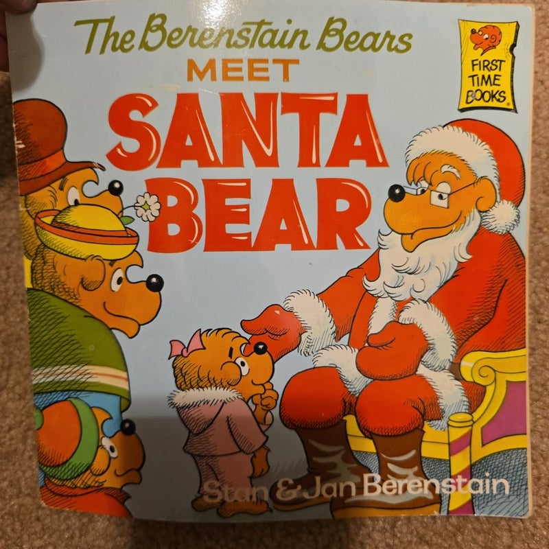 Meet Santa bear