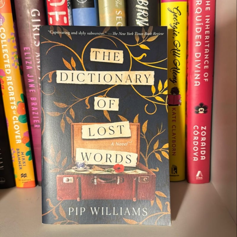 The Dictionary of Lost Words