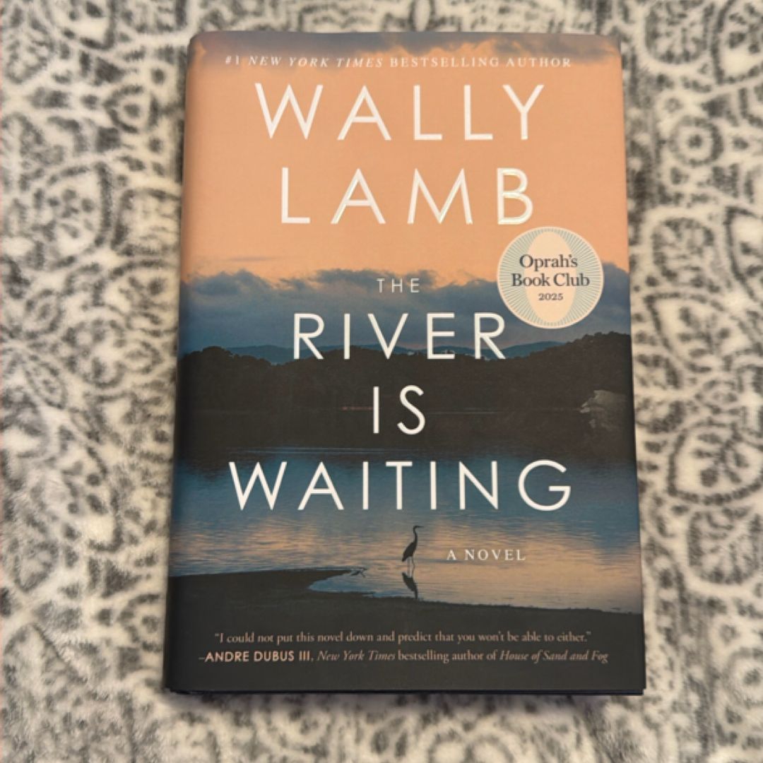 The River Is Waiting (Oprah's Book Club)