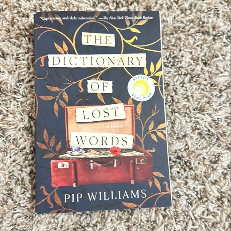 The Dictionary of Lost Words