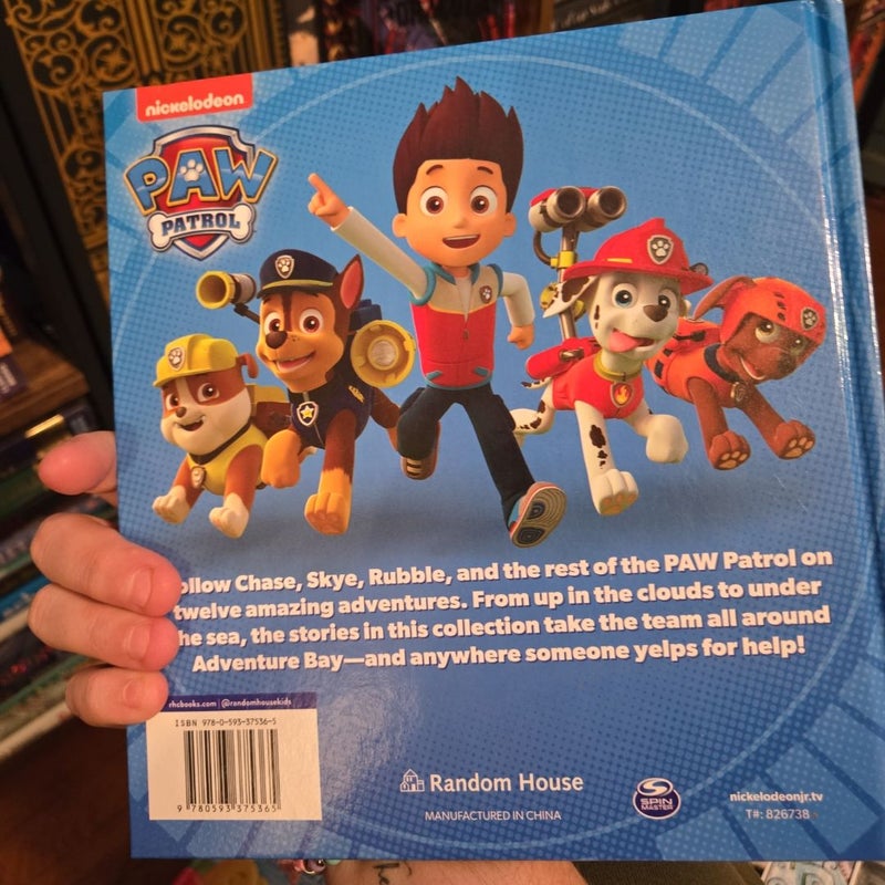 Paw Patrol Stories to Share