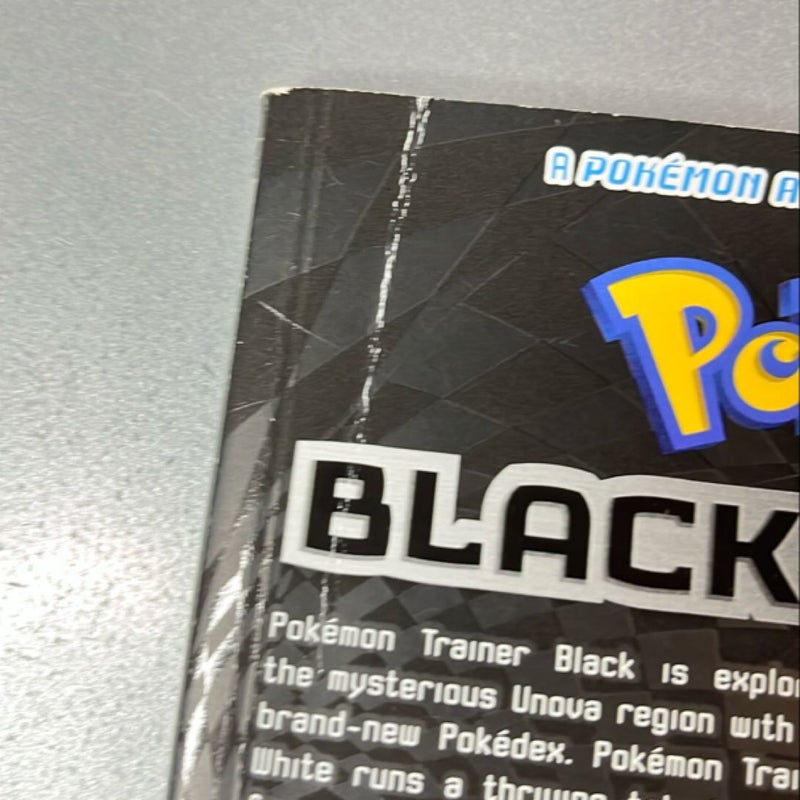 Pokémon Black and White, Vol. 8