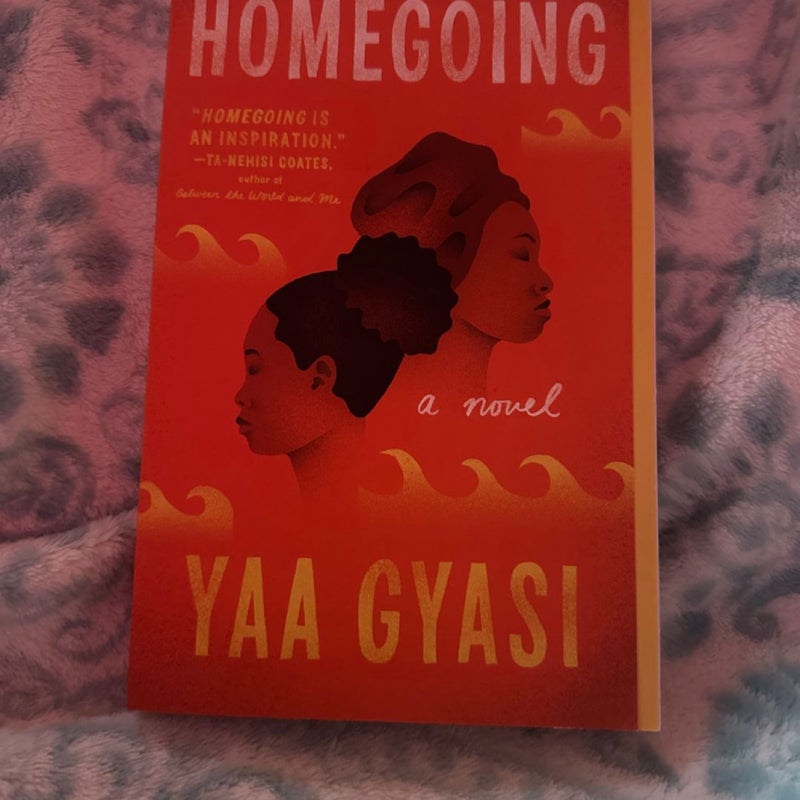 Homegoing