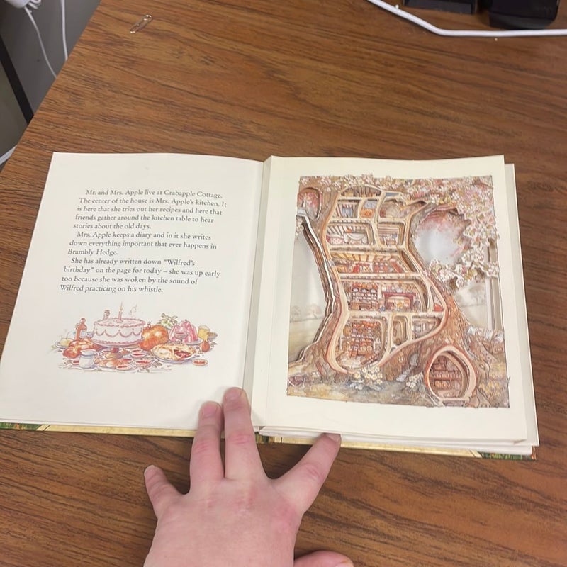 The World of Brambly Hedge