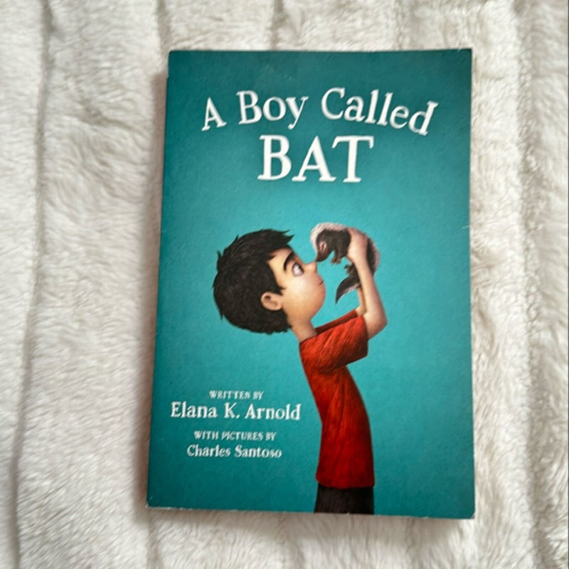 A Boy Called Bat