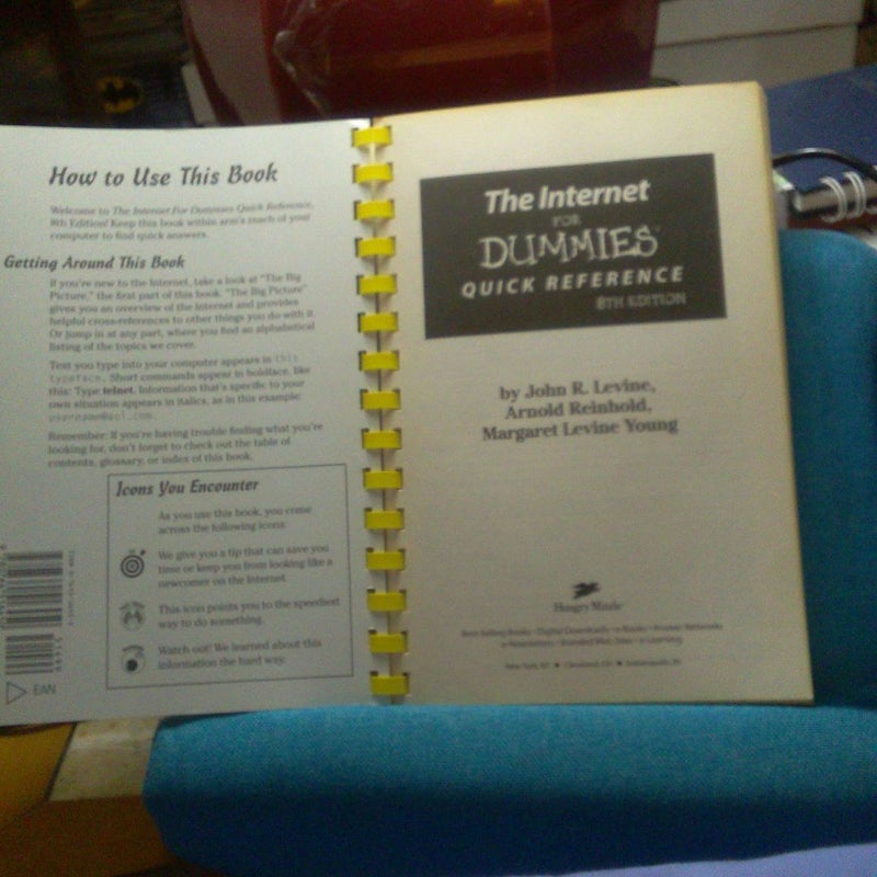 The Internet for Dummies