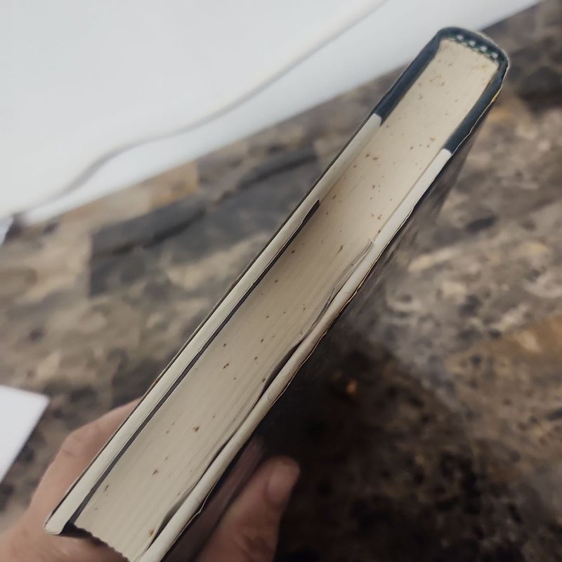 The Celestine Prophecy