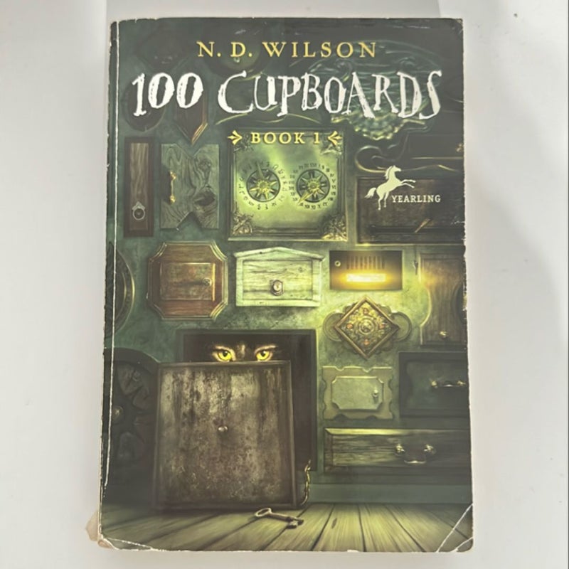 100 Cupboards (100 Cupboards Book 1)