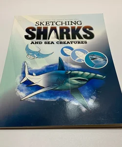 Sketching Sharks And Sea Creatures 