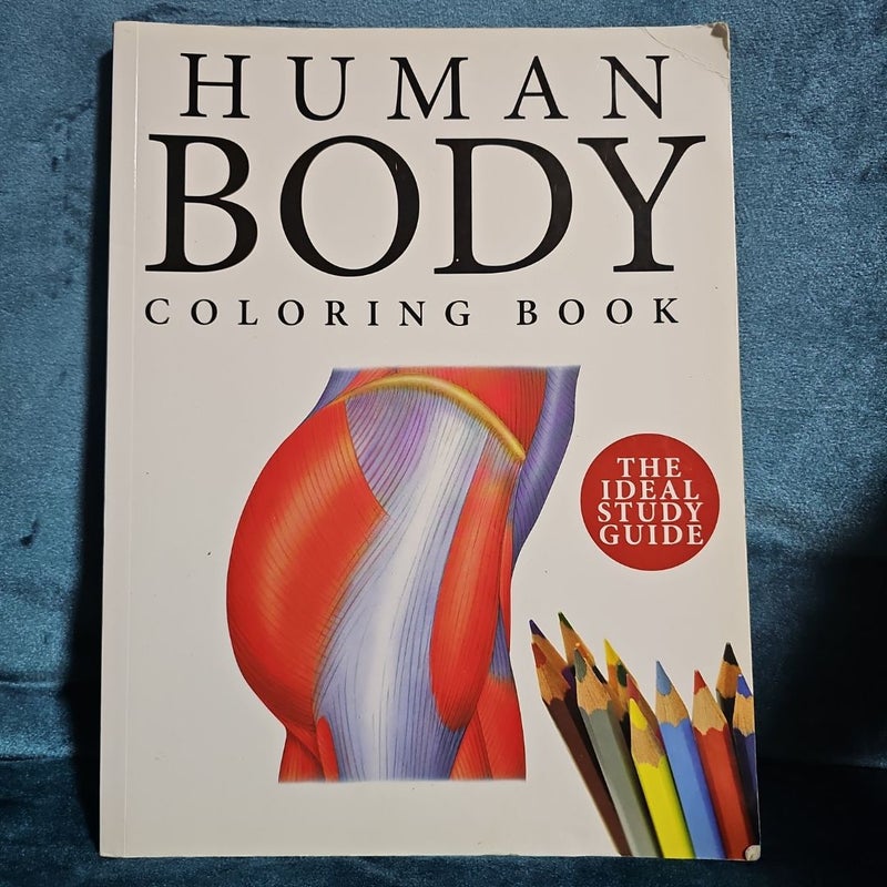 Human Body Colouring Book: Human Anatomy in 215 Illustrations by Peter Abrahams 