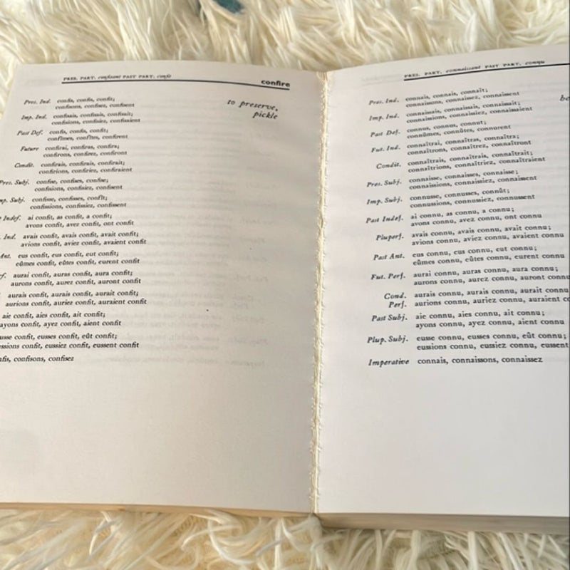Dictionary of 501 French Verbs