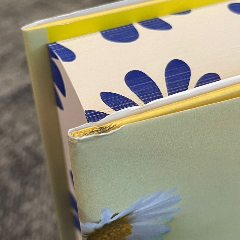 Things We Never Got Over FAIRYLOOT special edition with sprayed edges