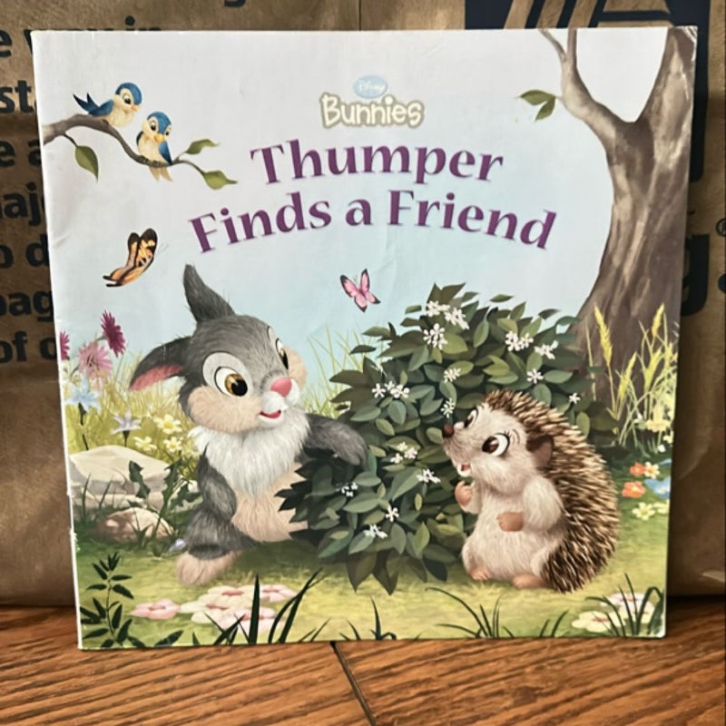 Disney Bunnies: Thumper Finds a Friend