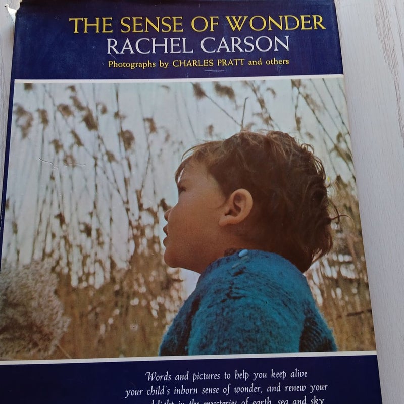 The sense of wonder.