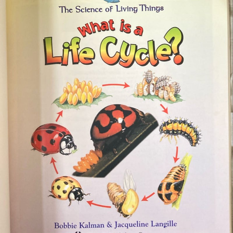 What Is a Life Cycle?