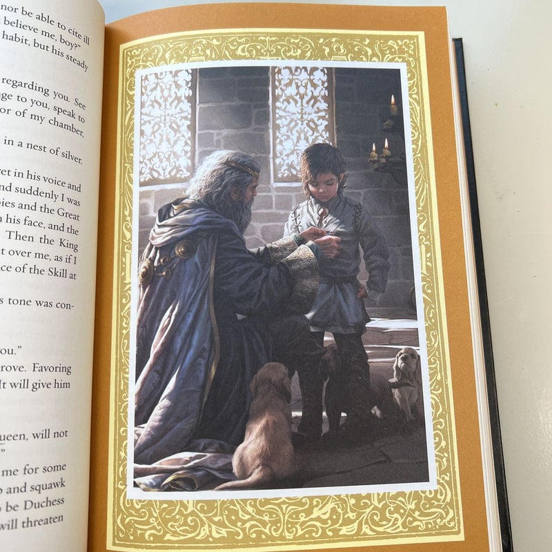 Assassin's Apprentice (the Illustrated Edition)