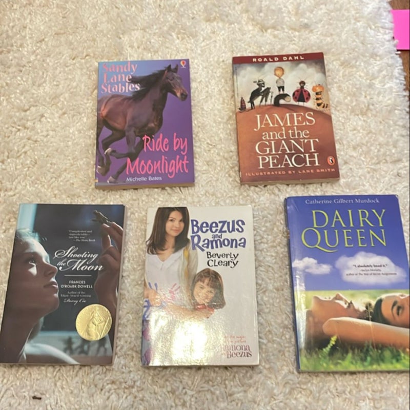 Chapter Book BUNDLE