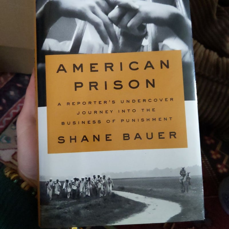 American Prison