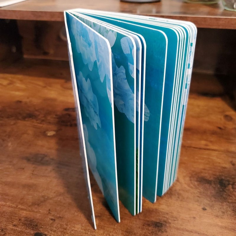 Little Cloud Board Book
