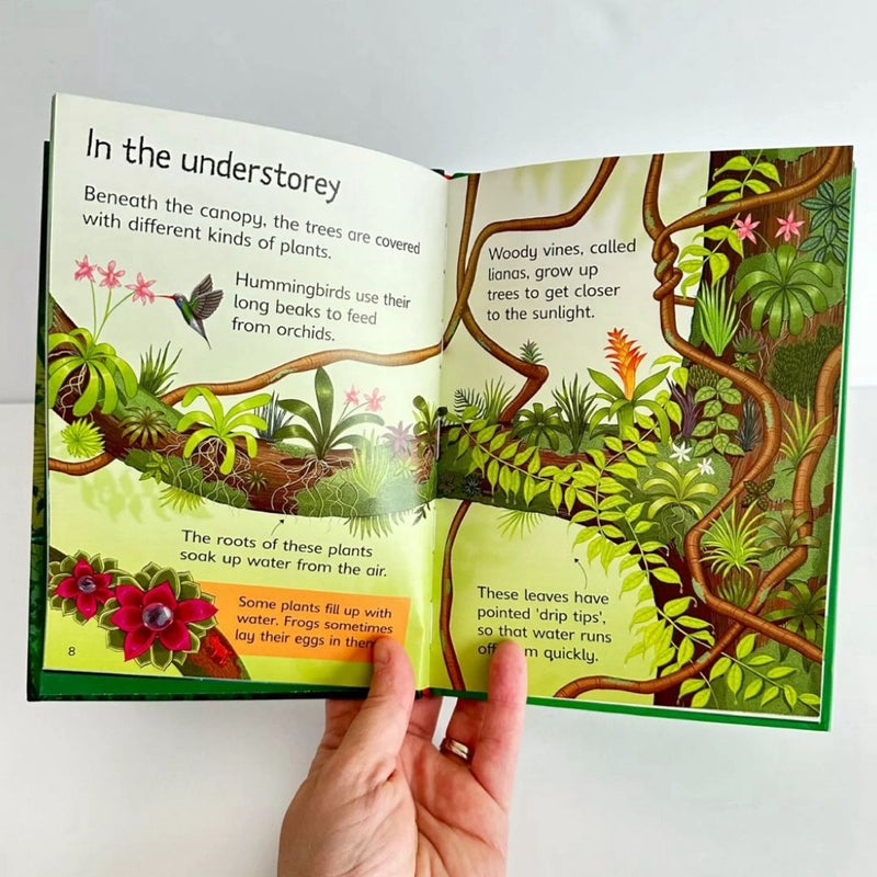 Usborne Rainforests, Usborne Beginners