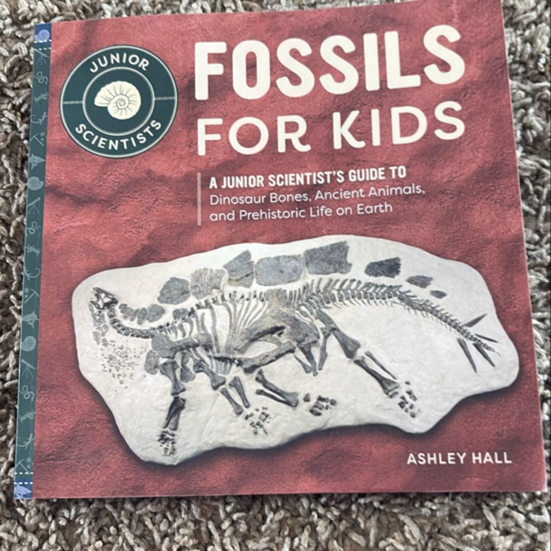 Fossils for Kids
