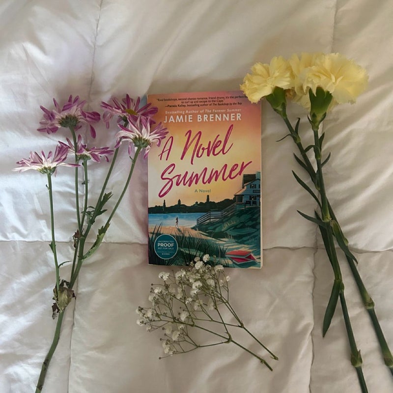 A Novel Summer 