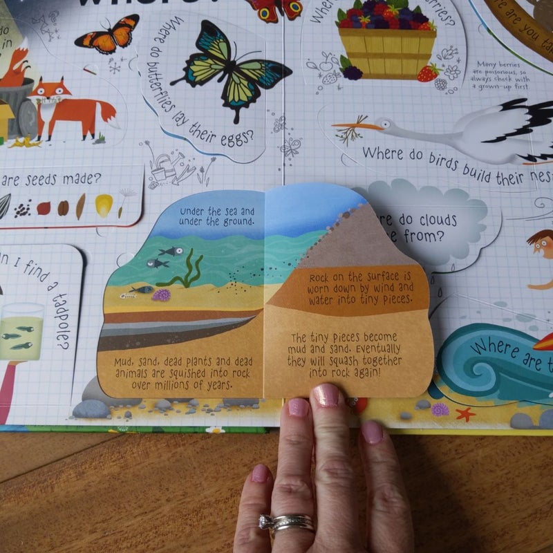 Lift-The-Flap Questions and Answers about Nature IR